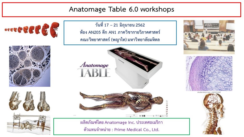 Anatomage Table 6.0 Workshop