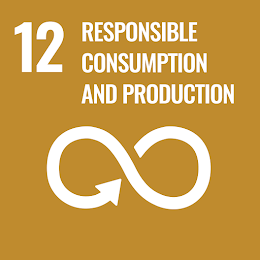 Goal 12: Responsible consumption production