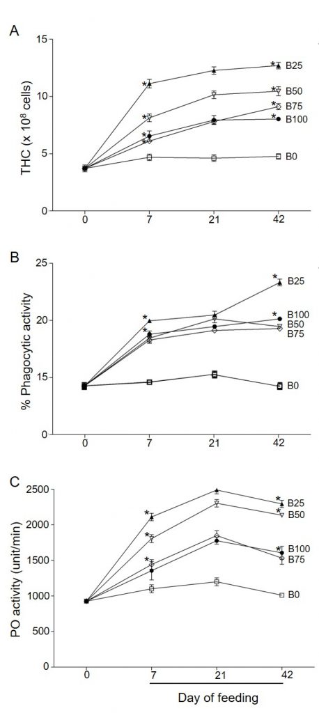 Bioflocs substituted fishmeal feed stimulates immune response and protects shrimp from Vibrio parahaemolyticus infection