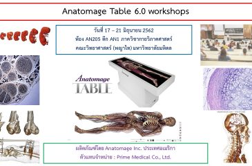 Anatomage Table 6.0 Workshop