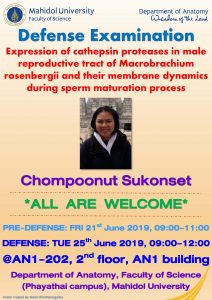 Chompoonut's DEFENSE