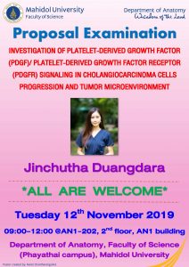 Jinchutha's Proposal