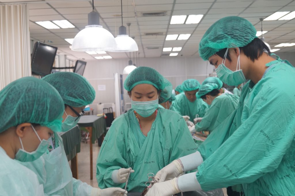 โครงการปฏิบัติการการผ่าตัดและศึกษาวิจัยทางศัลยศาสตร์ CARE Lab 2019 (รอบที่ 2)