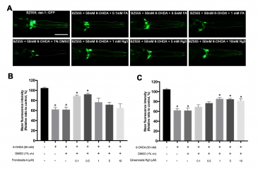 Neurorescue Effects of Frondoside A and Ginsenoside Rg3 in C. elegans Model of Parkinson’s Disease