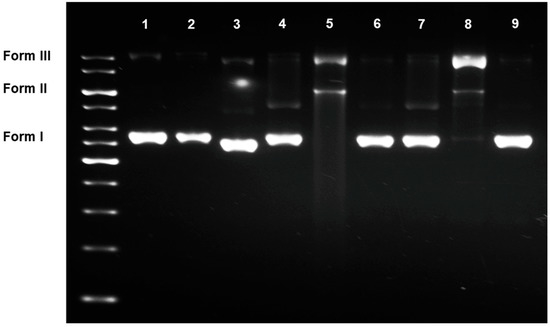 Exerting DNA Damaging Effects of the Ilimaquinones through the Active Hydroquinone Species