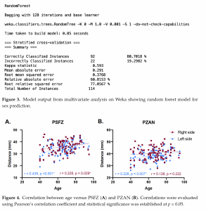 Classification and morphometric features of pterion in Thai population ...