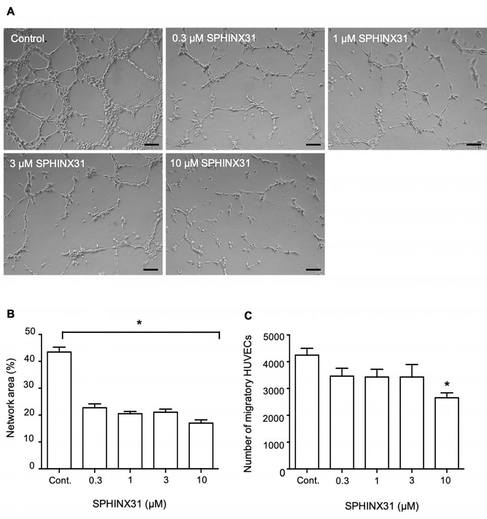 Inhibition of serine/arginine-rich protein kinase-1 (SRPK1) prevents cholangiocarcinoma cells induced angiogenesis