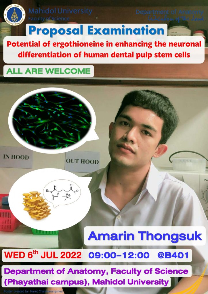 Amarin Thongsuk’s Proposal Examination on Wednesday 6th July 2022, 09:00-12:00, @B401. All are welcome.