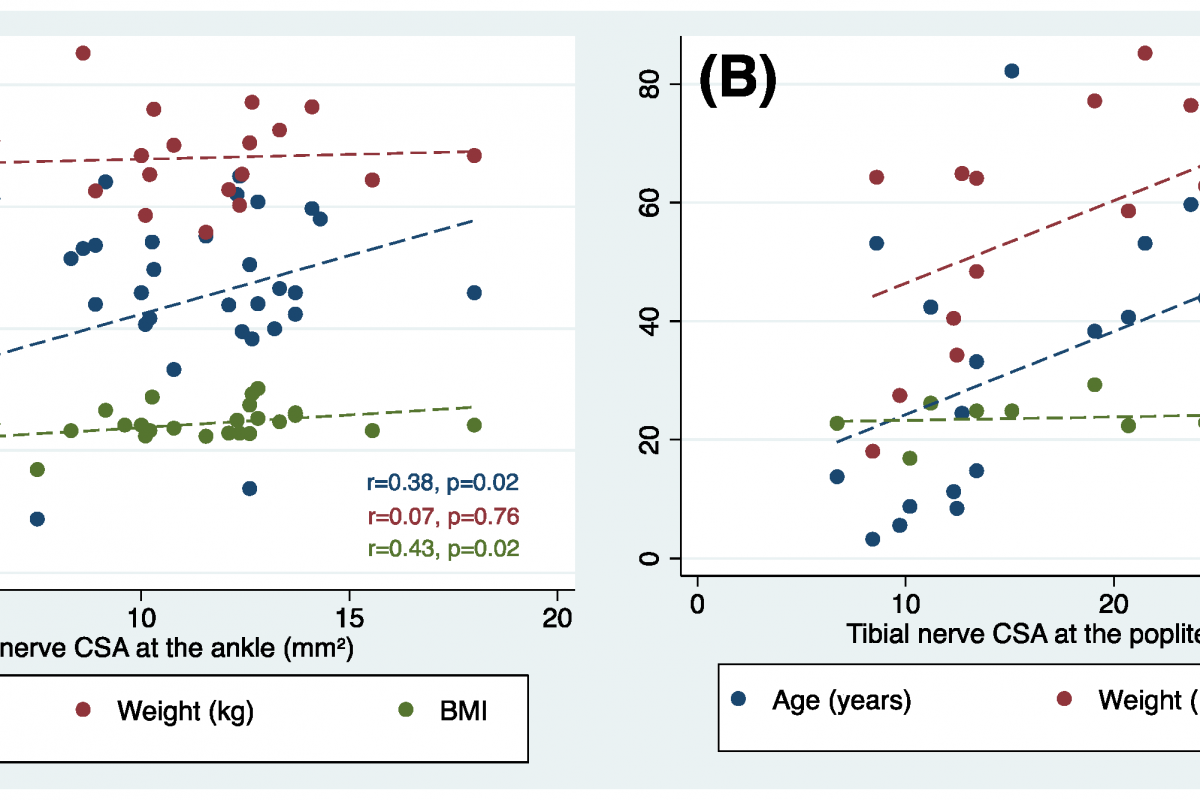 #Anatomy SC Mahidol #Anatomy MUSC ภาควิชากายวิภาคศาสตร์ คณะวิทยาศาสตร์ ...